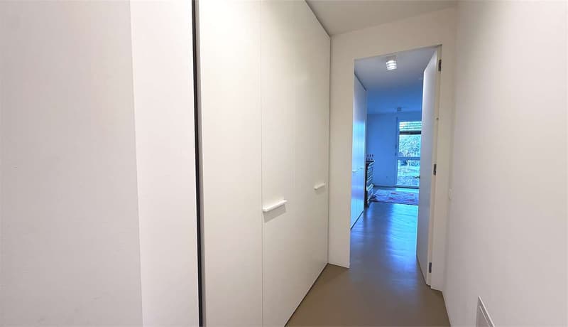 Luminoso e Ampio appartamento 4,5 con grande terrazzo (9)