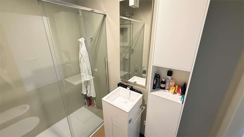 Luminoso e Ampio appartamento 4,5 con grande terrazzo (12)
