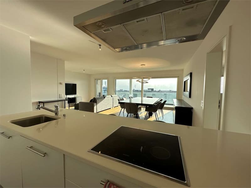 Appartamento 4.5 locali con terrazzo e vista lago (3)