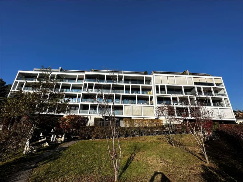 Appartamento 4.5 locali con terrazzo e vista lago (6)