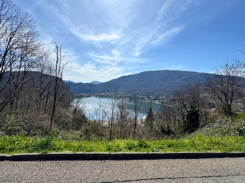 The image shows a scenic view of a lake surrounded by mountains and forests. The lake appears to be a vibrant turquoise color, contrasting with the lush green vegetation and bare trees in the foreground. The mountains in the background rise up, creating a