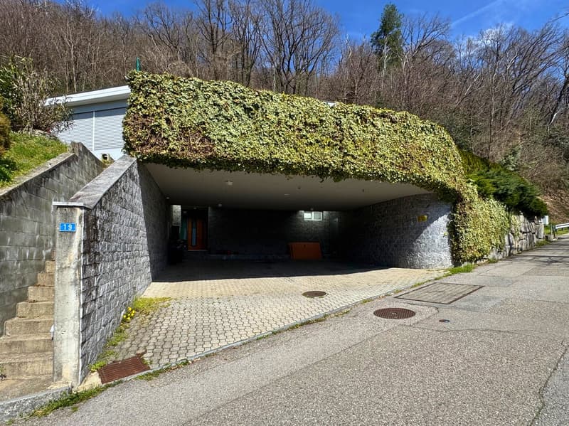 A unique, partially underground building with a curved, ivy-covered roof. The building has a stone exterior and a paved entrance area with benches. The surrounding area is forested with bare trees, indicating a spring or fall season.