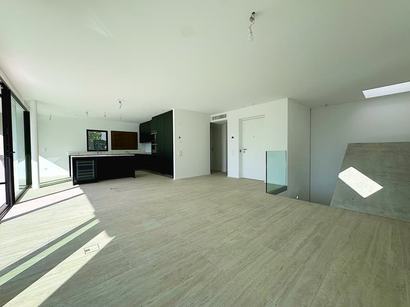 Elegante 4.5 locali al primo piano con terrazza e parziale vista lago (6)