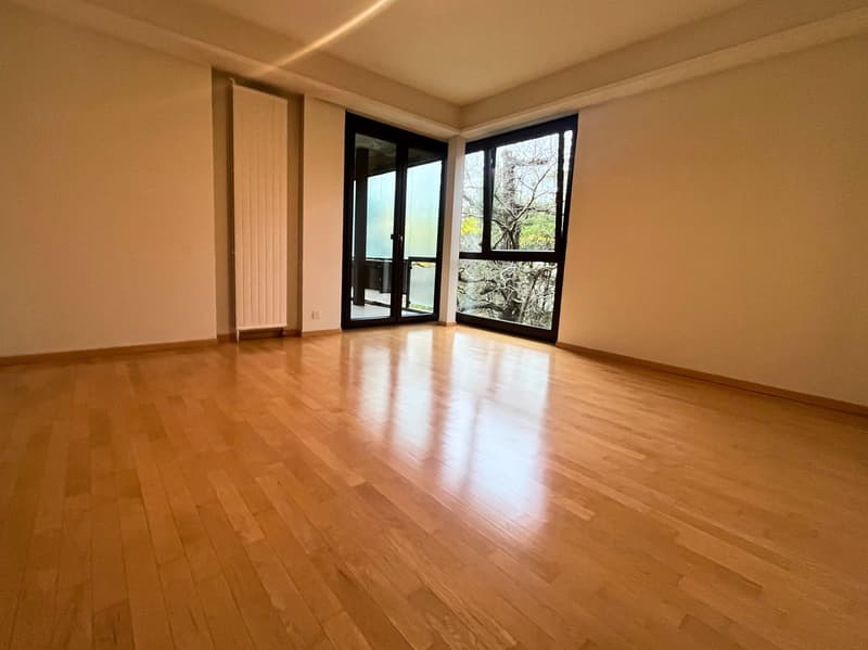 empty room, wooden floor, large glass doors, radiator