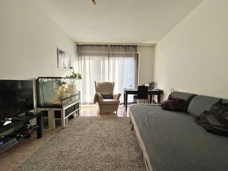 VILLA CON DUE APPARTAMENTI E PARCO PRIVATO A FIGINO (20)