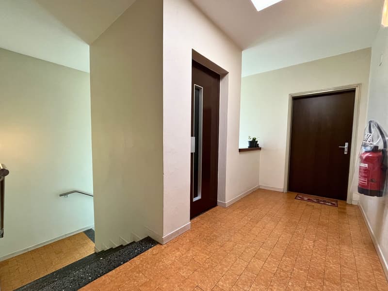 Palazzina residenziale con 12 appartamenti – Arbedo (14)