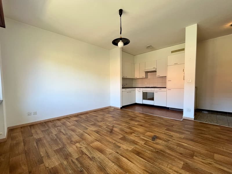Palazzina residenziale con 12 appartamenti – Arbedo (10)