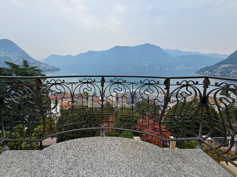 Residenza Bristol | Ampio 3.5 locali con splendida vista lago (6)