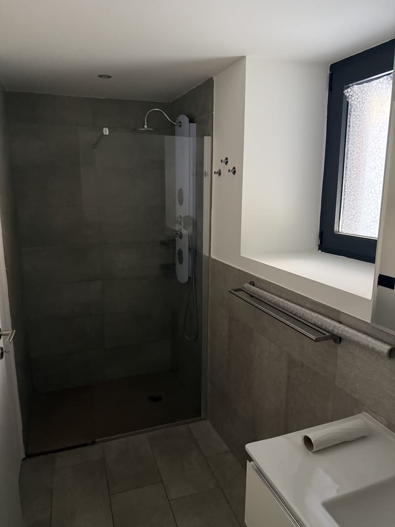 Appartamento 2 locali al piano terra a Collina d'Oro – disponibile subito (11)
