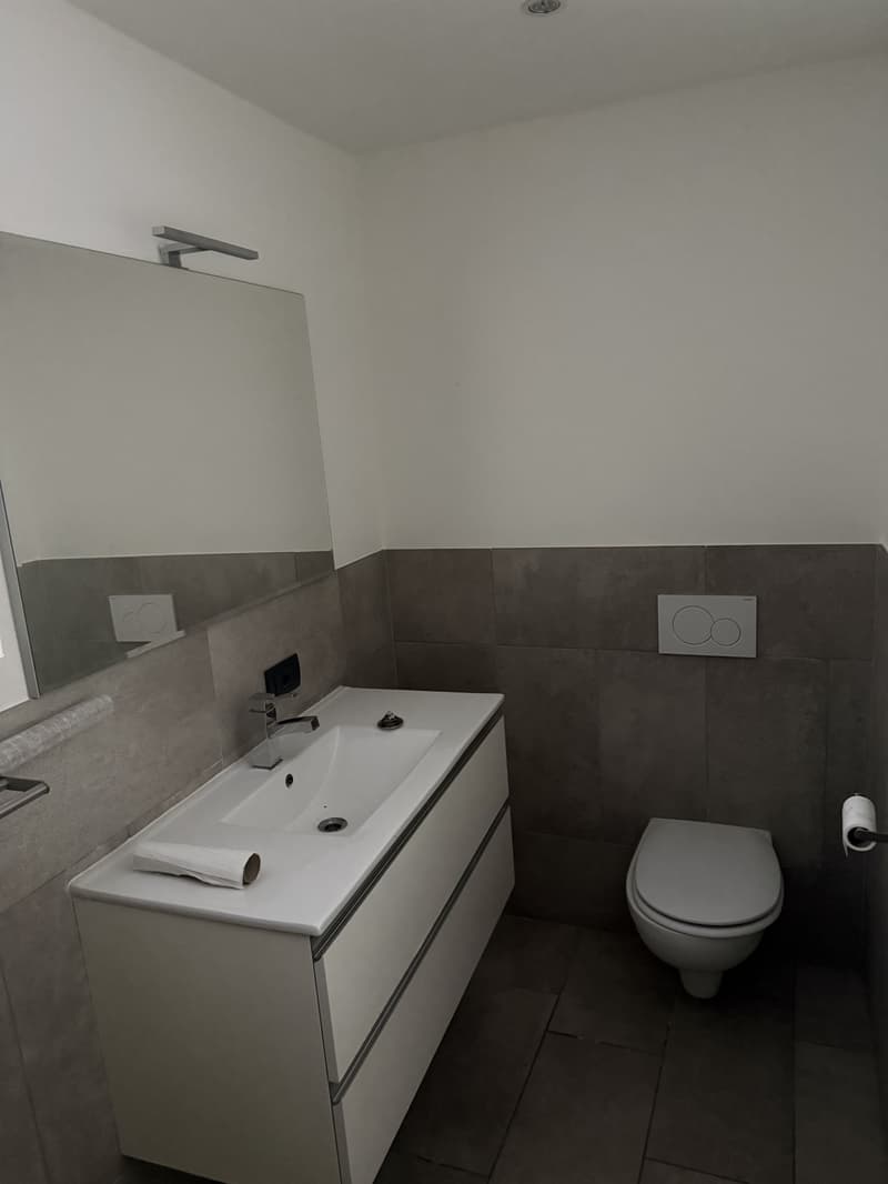 Appartamento 2 locali al piano terra a Collina d'Oro – disponibile subito (7)