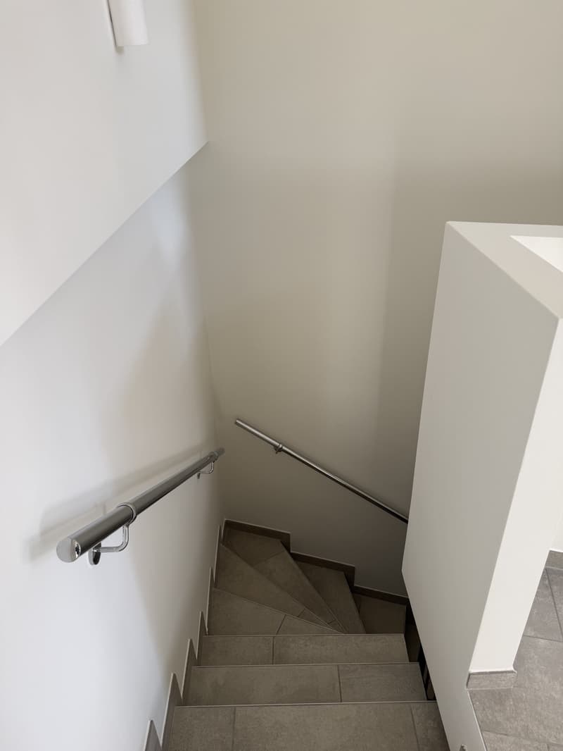 Appartamento di 2 locali in affitto a Collina d'Oro (8)
