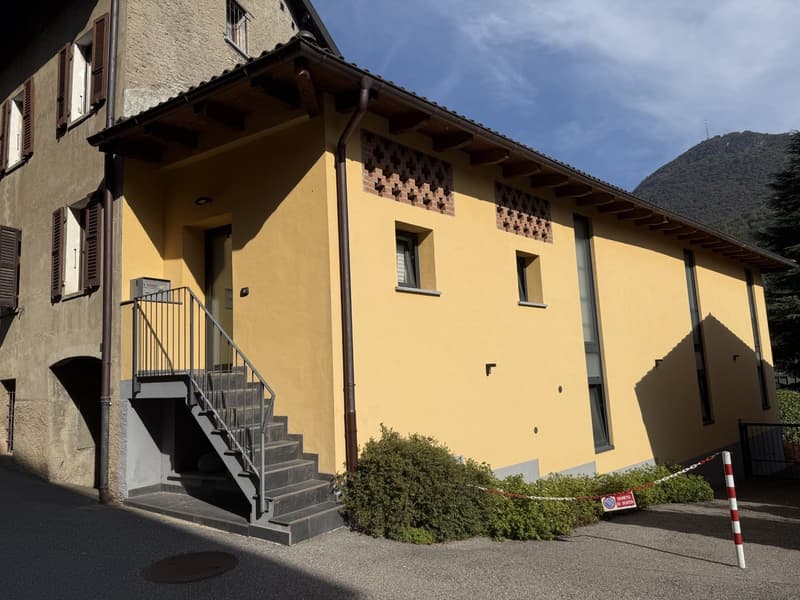 Appartamento di 2 locali in affitto a Collina d'Oro (2)