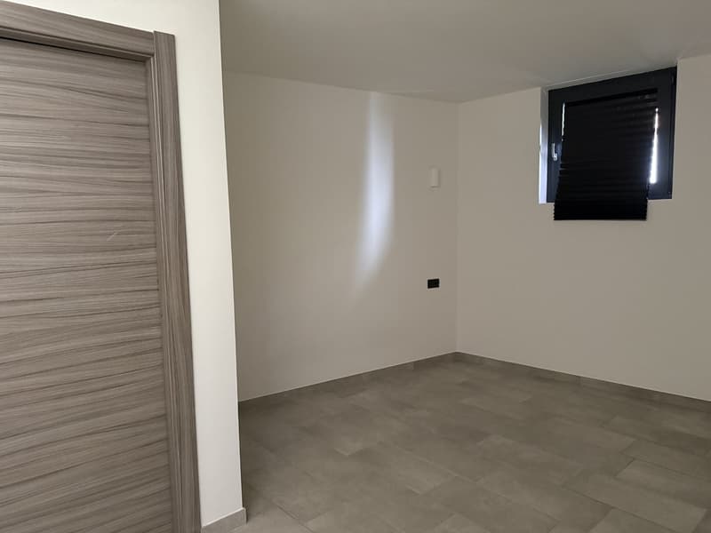 Appartamento di 2 locali in affitto a Collina d'Oro (14)