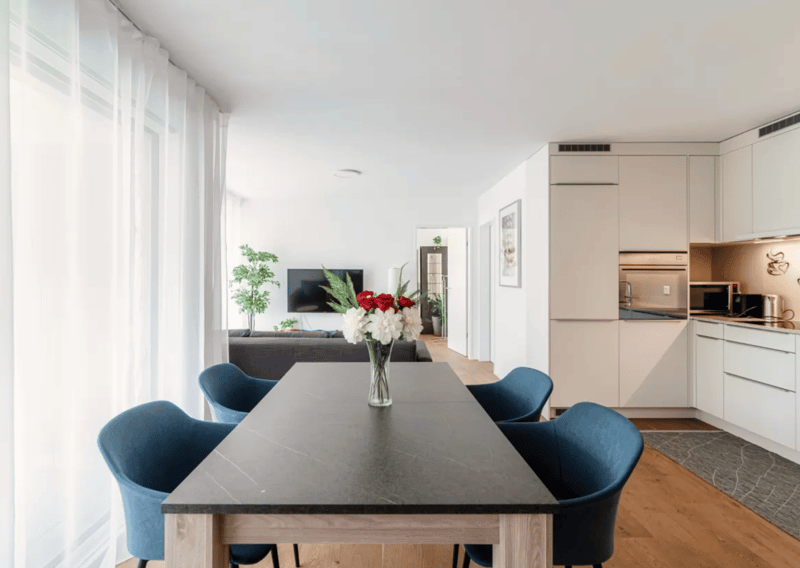 Moderno appartamento di 2.5 locali con ampia terrazza e posto auto – Locarno (2)