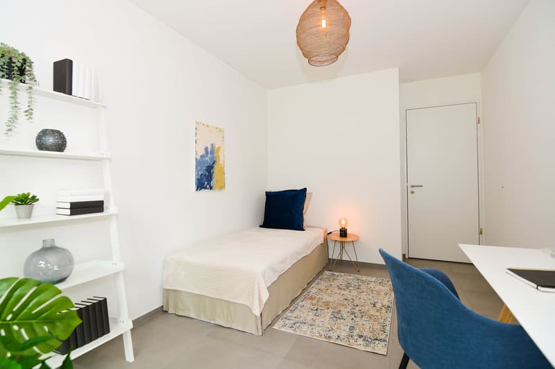 small bedroom with single bed, rug, white shelves, desk, chair, lamp, and artwork