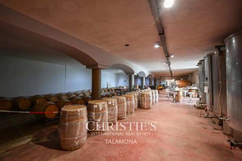 Historisches Weingut und Wohnhaus im Herzen von Barolo (11)