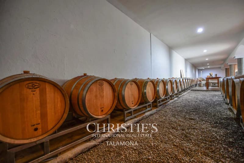 Historisches Weingut und Wohnhaus im Herzen von Barolo (12)
