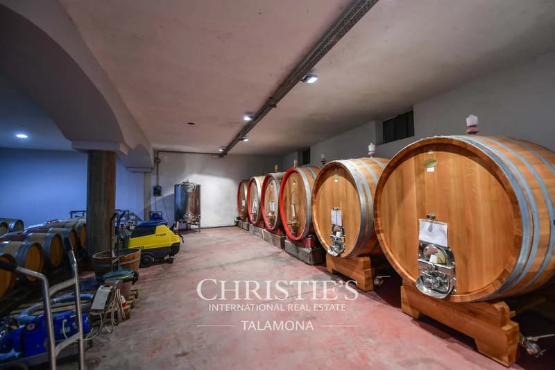 Historisches Weingut und Wohnhaus im Herzen von Barolo (8)