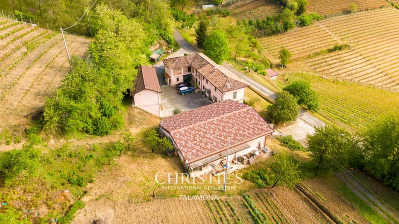 Weingut mit Weinberg und Landhaus in Canelli (7)