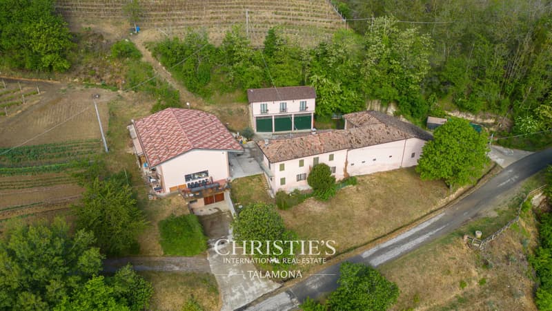 Weingut mit Weinberg und Landhaus in Canelli (5)