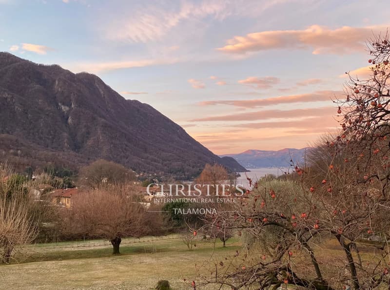 Casa Vallate, Landgut mit Weinberg und Park am Lago Maggiore, Castelveccana (3)