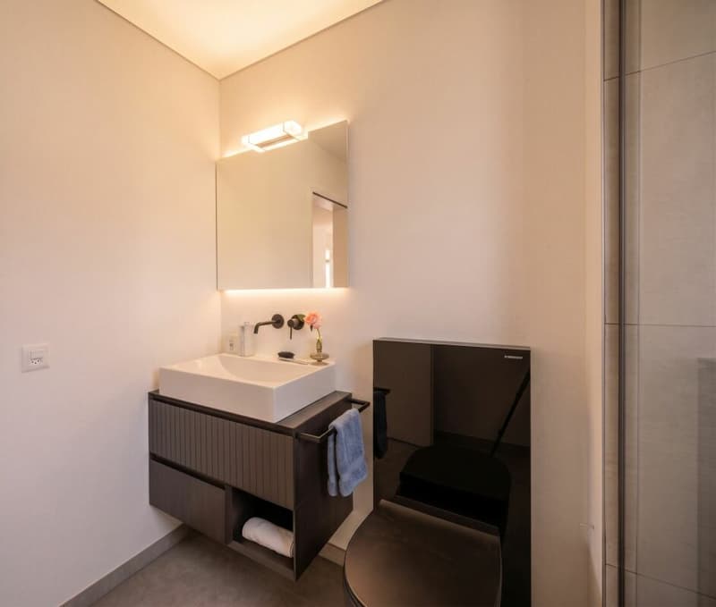 ASCONA - Elegante Maisonette mit Cheminée & sonnigen Terrassen - nur 6 Einheiten | Duplex elegante con camino e terrazze soleggiate - solo 6 unità (6)