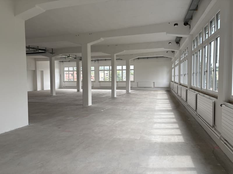 Einzigartige Gewerbefläche mit Industrie-Charme (5)