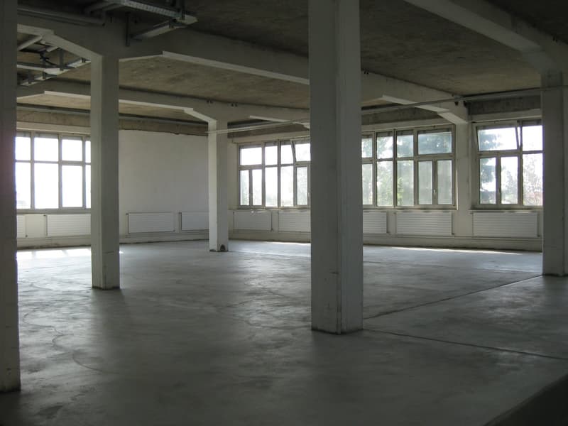 Espace commercial unique au charme industriel (3)