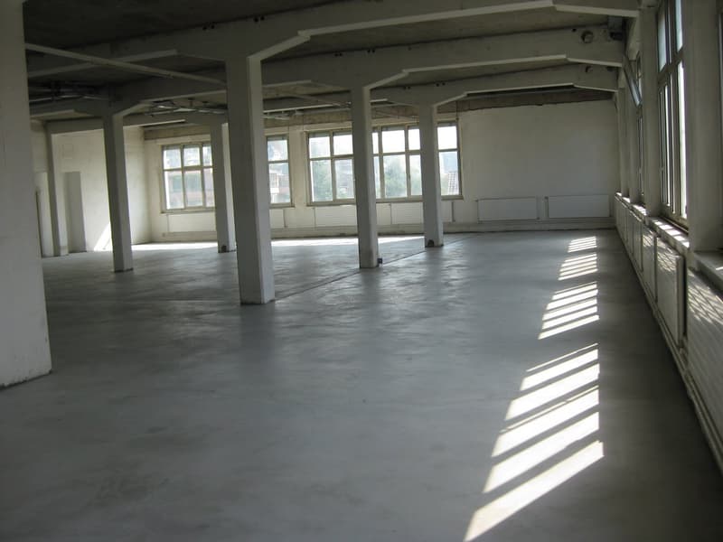 Espace commercial unique au charme industriel (4)