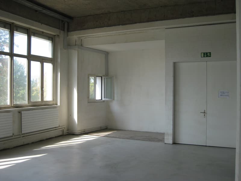 Espace commercial unique au charme industriel (5)