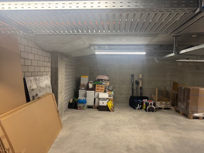 Warehouse spaces in Muttenz – flexible, secure, centrally located (3)
