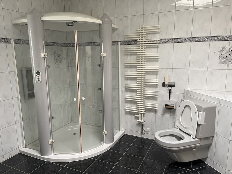 The image shows a modern bathroom with a curved glass shower enclosure, a white toilet, and a white towel warmer mounted on the wall. The bathroom is tiled with gray and black tiles, creating a sleek and contemporary look.