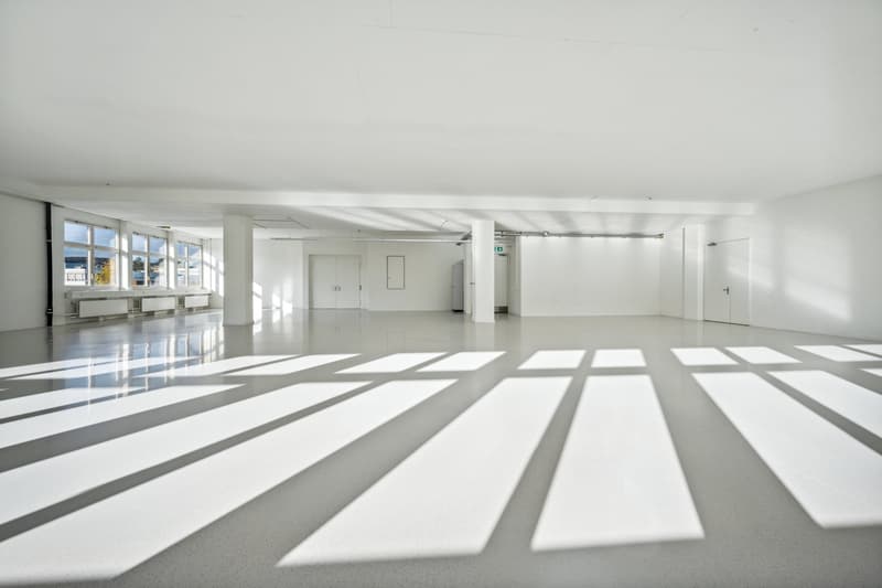 365 m2 Gewerbeflächen mit Warenlift und Nutzlast von 1'300 kg/m² (6)