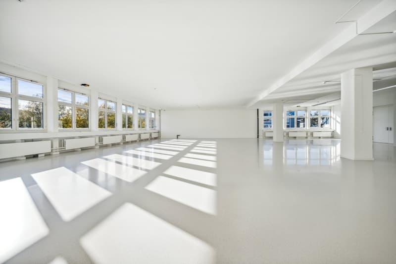 365 m2 Gewerbeflächen mit Warenlift und Nutzlast von 1'300 kg/m² (3)