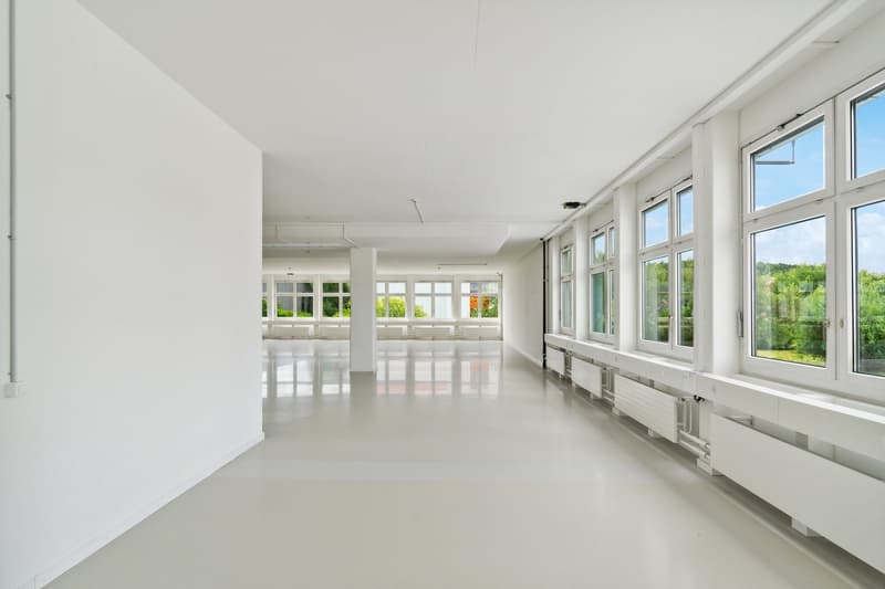 365 m2 Gewerbeflächen mit Warenlift und Nutzlast von 1'300 kg/m² (10)