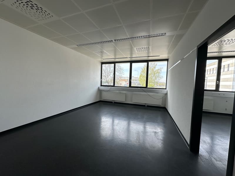 The image shows a spacious, well-lit office space with large windows overlooking the outdoors. The room has a minimalist design with white walls, a tiled ceiling, and a concrete floor. There are no visible furniture or other features in the room, suggesti
