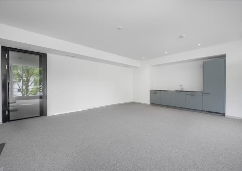 Espaces de bureau haut de gamme, prêts à être occupés, environ 450 m² (10)