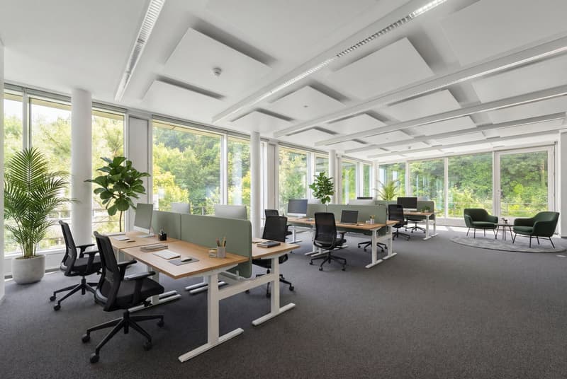 Espaces de bureau haut de gamme, prêts à être occupés, environ 450 m² (4)