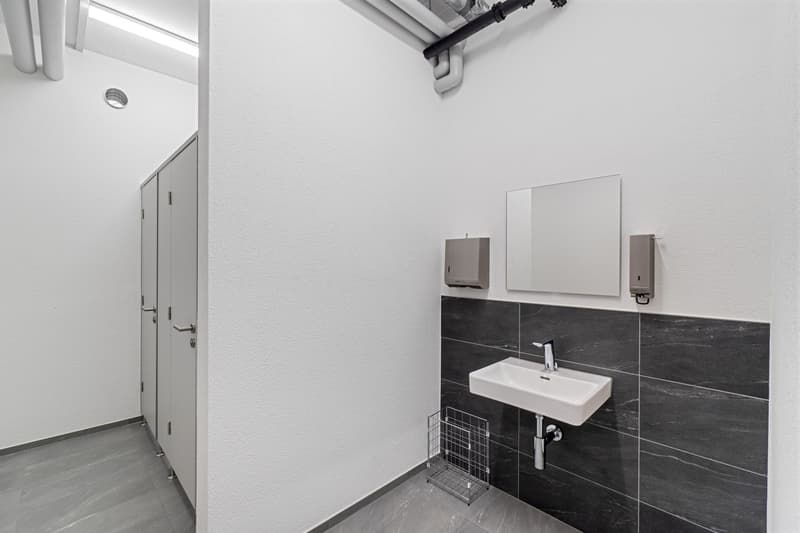 The image shows a bathroom with a modern design. The walls are tiled with dark gray tiles, and there is a white sink with a chrome faucet. Above the sink, there is a mirror and a small cabinet. The floor appears to be made of a light-colored material, pos
