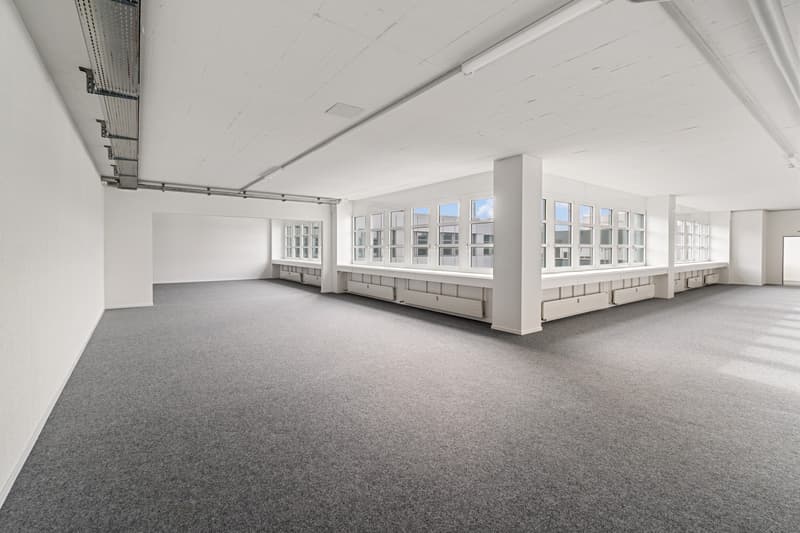 Large open office space with white walls, gray carpeted floor, and large windows providing natural light. The space appears to be empty and ready for use.
