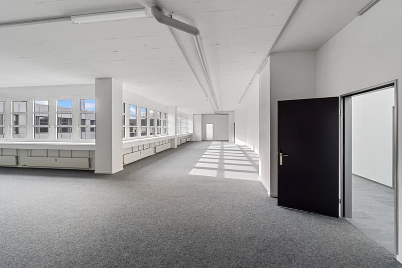 Large open office space with high ceilings, white walls, and gray carpeted floor. The room has multiple windows along the walls, providing natural light. There is a black door visible at the end of the hallway.