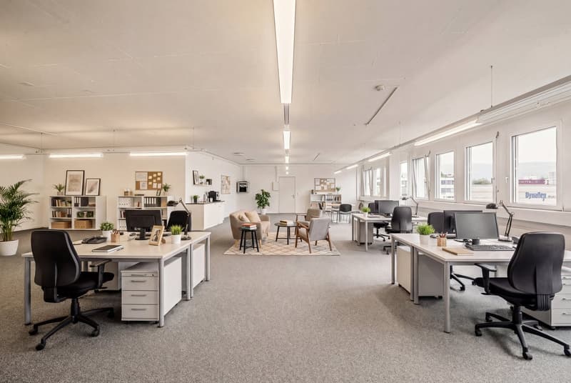 open plan office space, multiple desks, swivel chairs, couch, carpet, windows, office plants, cabinets, shelves, monitors, keyboards, pens