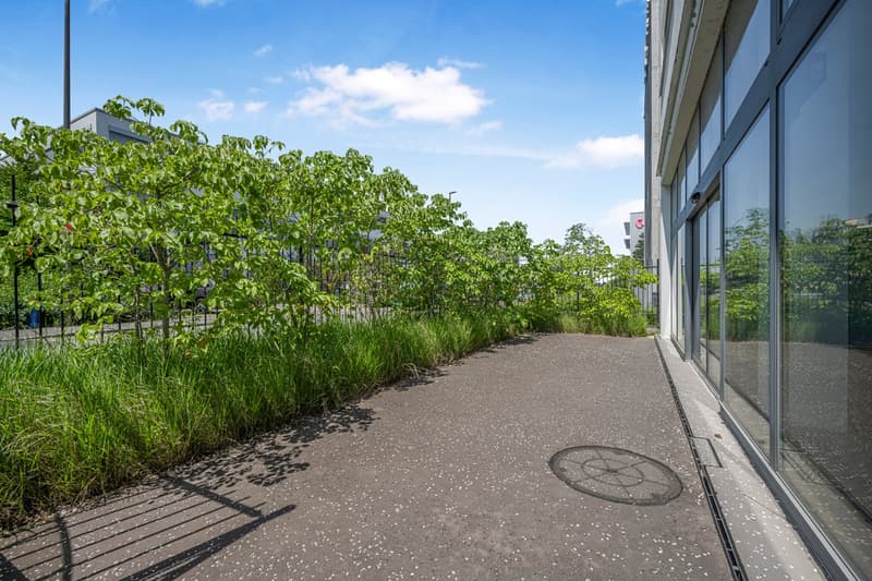 La tua nuova sede con 1'500 m² – moderna, attrezzata e pronta per l'occupazione (14)