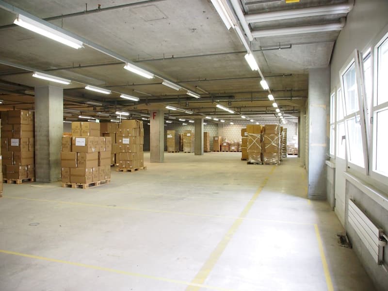 3'000 m² d'espace logistique et de bureau moderne – idéal pour votre entreprise logistique (8)