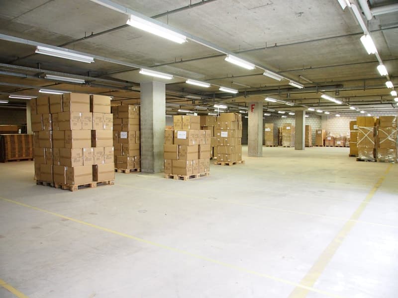 Efficient logistics hub with complete infrastructure – over 8,200 m² (12)