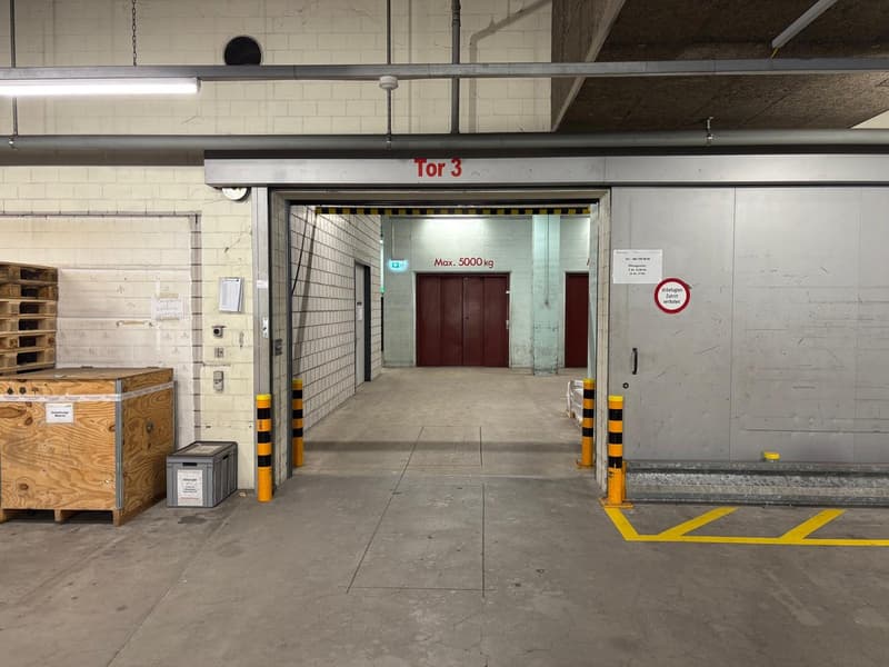Efficient logistics hub with complete infrastructure – over 8,200 m² (3)