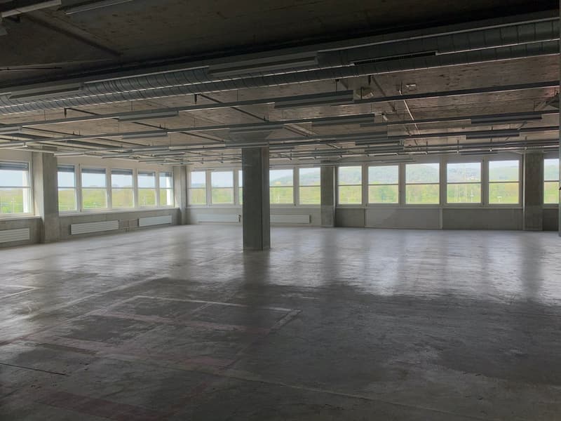 Efficient logistics hub with complete infrastructure – over 8,200 m² (9)