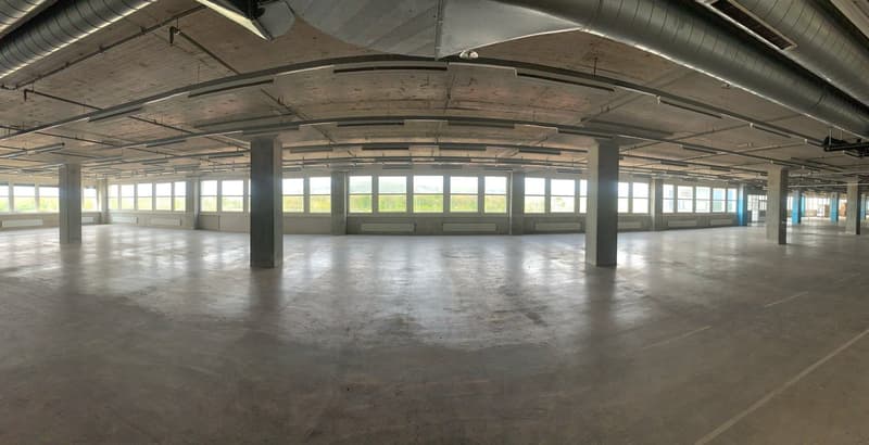 Efficient logistics hub with complete infrastructure – over 8,200 m² (8)
