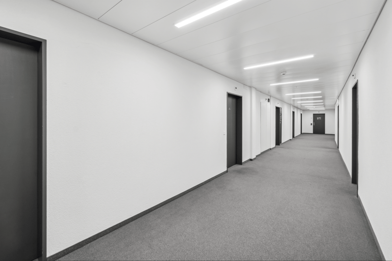 White walls, ceiling with recessed lighting, gray carpet, several closed doors, elevator shaft.