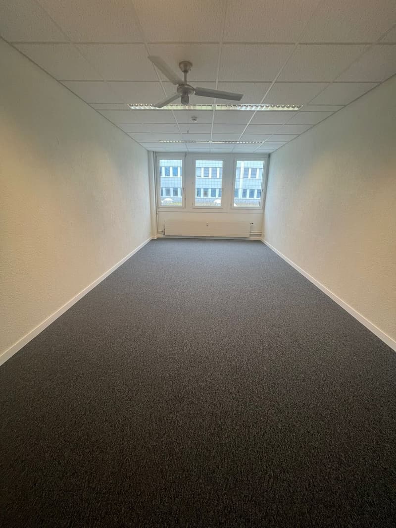 Empty room with ceiling fan, windows, and white walls